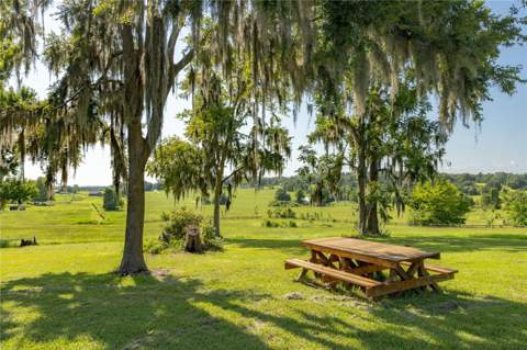 21601 Old Bellamy Road, Alachua FL - photo 6 of 6