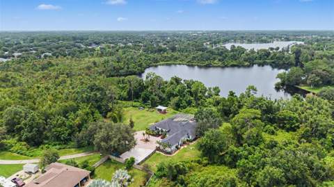 15532 Lake Grace Drive, Odessa FL - photo 6 of 6