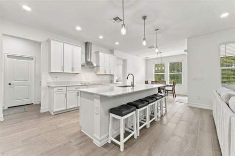 18114 Serene Lake Loop, Lutz FL - photo 6 of 6