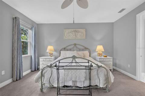 8220 Bridgeport Bay Circle, Mount Dora FL - photo 23 of 48