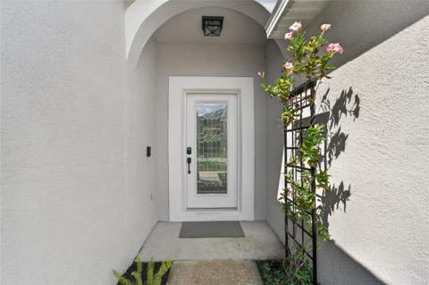 11313 Village Brook Drive, Riverview FL - photo 9 of 40