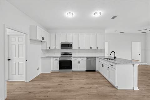 507 Britten Drive, Kissimmee FL - photo 9 of 31