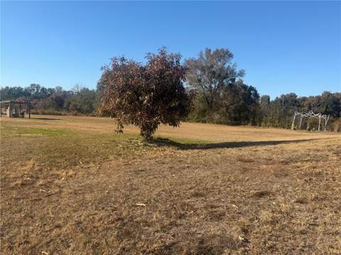 3444 Packard Avenue, St Cloud FL - photo 6 of 28