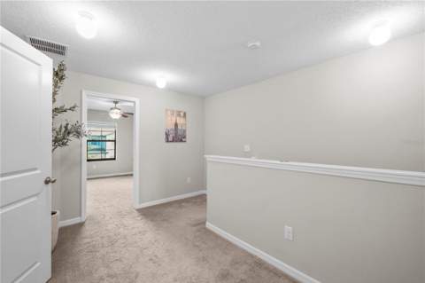 7667 Ginger Lily Court, Tampa FL - photo 24 of 62