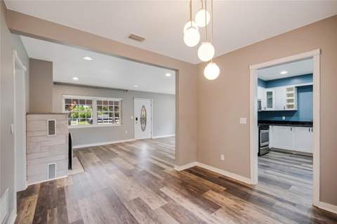 1635 Gertrude Place, Mount Dora FL - photo 7 of 35