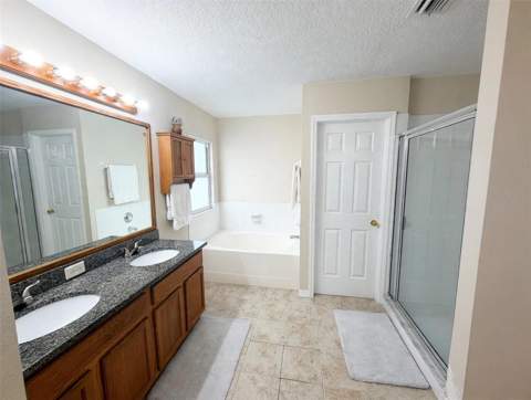 4236 Balington Drive, Valrico FL - photo 10 of 20