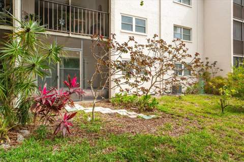 845 Maple Court #103, Dunedin FL - photo 22 of 27