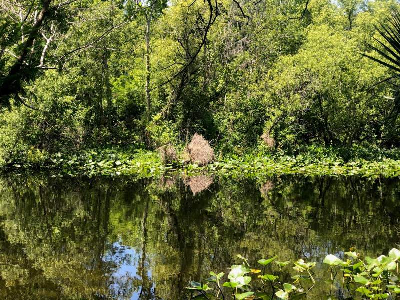 241 NOVA DRIVE home for sale in Wekiva Highlands