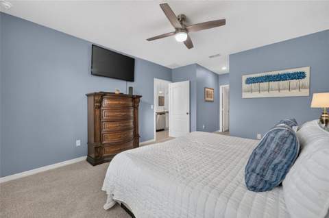 5264 Greenheart Avenue, Mount Dora FL - photo 17 of 34