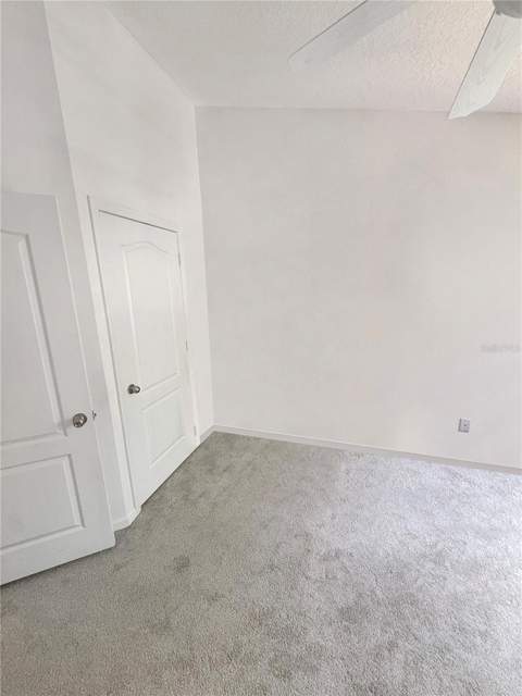 4924 Chatham Gate Drive, Riverview FL - photo 18 of 39