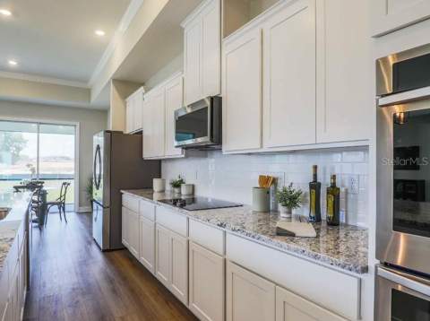 930 Buckeye Drive, Lady Lake FL - photo 8 of 29