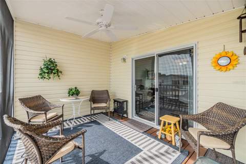 37443 Gill Avenue, Zephyrhills FL - photo 23 of 61