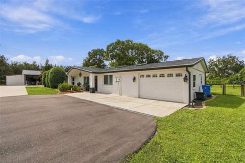 19902 Gunn Highway, Odessa FL - photo 6 of 6