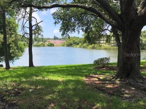 2690 Coral Landings Boulevard #438, Palm Harbor FL - photo 19 of 28