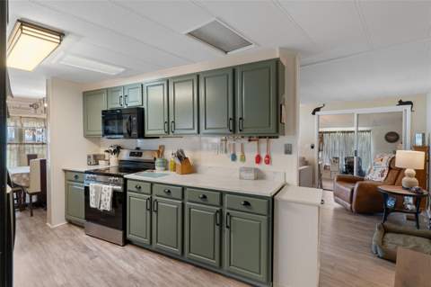 12041 Fairway Avenue, Brooksville FL - photo 10 of 42