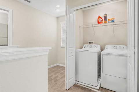 7421 French Marigold Avenue, Tampa FL - photo 22 of 26