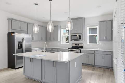 14795 Field Daisy Drive, Winter Garden FL - photo 6 of 6