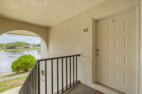 1882 Pine Ridge Way #C2, Palm Harbor FL - photo 6 of 28