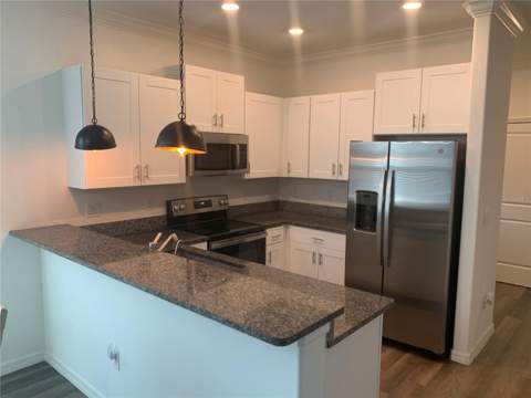 6930 Ripple Pond Loop, Zephyrhills FL - photo 10 of 29