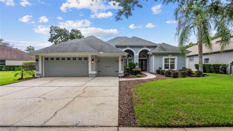 5924 Cherry Oak Drive, home for sale in Valrico 33596