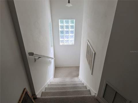 1475 Palmetto Drive, Safety Harbor FL - photo 6 of 6