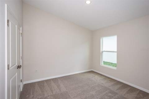 31702 Oyster Trellis Lane, Wesley Chapel FL - photo 17 of 23