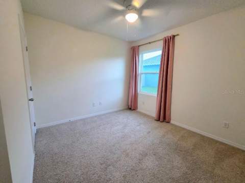 5268 Greenheart Avenue, Mount Dora FL - photo 19 of 36