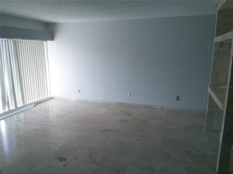 4209 Fogcutter Court #4209, Tampa FL - photo 11 of 24