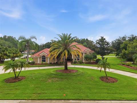18655 Avenue Capri, home for sale in Lutz 33558