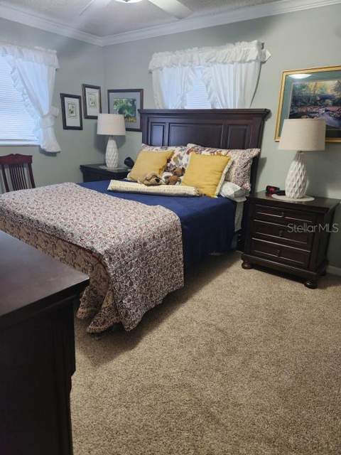 26630 Cayman Drive, Tavares FL - photo 10 of 12