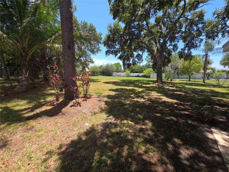 4 bedroom Single Family Residence at 63 Oakwood Drive, Dunedin, Dunedin — photo 4