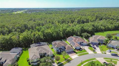14632 Braddock Oak Drive, Orlando FL - photo 6 of 6