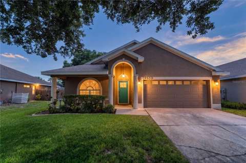 19520 Morden Blush Drive, home for sale in Lutz 33558