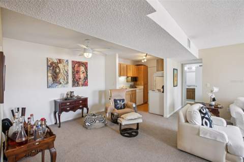 455 Alt 19 #42 & 46, Palm Harbor FL - photo 6 of 6