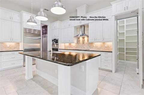 8750 Bayview Crossing Drive, Winter Garden FL - photo 11 of 89