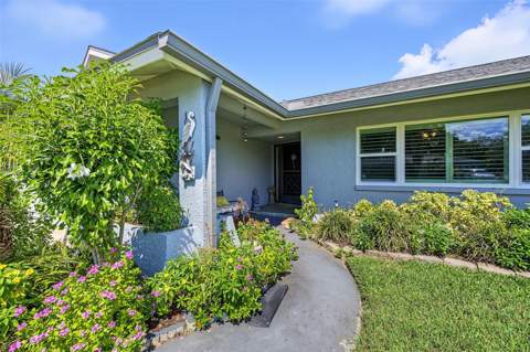 155 Seaside Court, Palm Harbor FL - photo 6 of 6