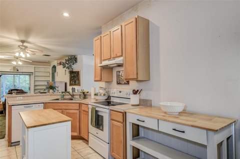 10109 Mowry Lane, Tampa FL - photo 10 of 25