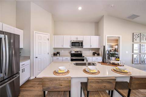 31714 Oyster Trellis Lane, Wesley Chapel FL - photo 10 of 24