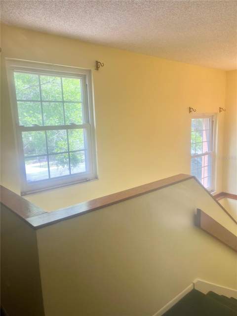 16851 Le Clare Shores Drive, Tampa FL - photo 22 of 53