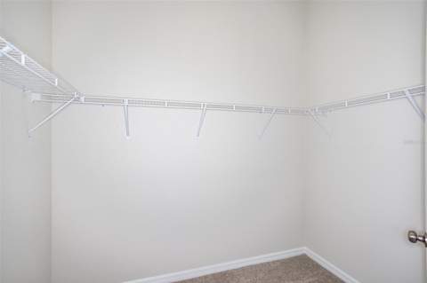 31702 Oyster Trellis Lane, Wesley Chapel FL - photo 6 of 23
