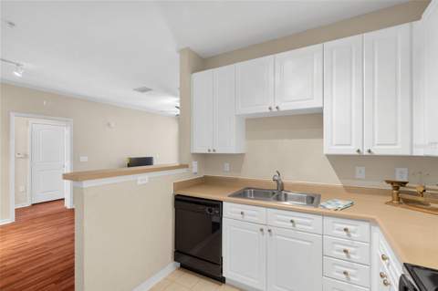 4221 W Spruce Street #1310, Tampa FL - photo 9 of 19