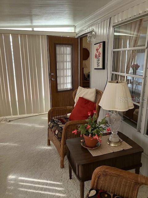 3405 Lanark Drive, Holiday FL - photo 23 of 33