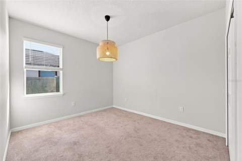 18359 Cortes Creek Boulevard, Spring Hill FL - photo 18 of 59