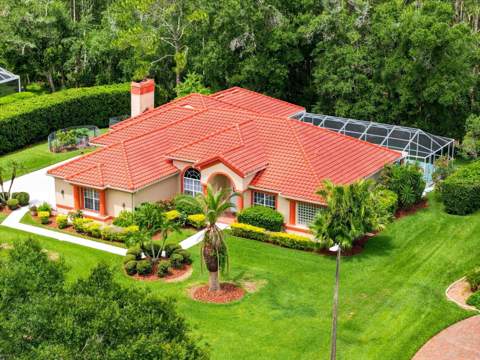 18621 Avenue Capri, Lutz FL - photo 6 of 6
