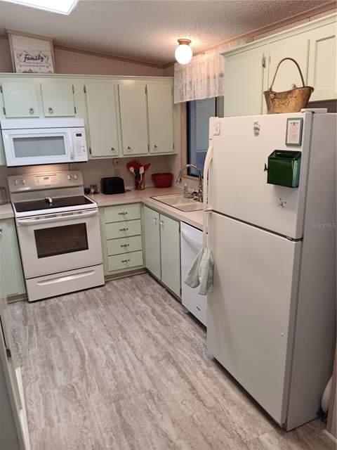 37536 Amigo Drive, Zephyrhills FL - photo 12 of 44