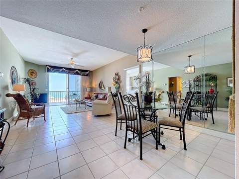 7 Island Park Place #204, Dunedin FL - photo 6 of 6