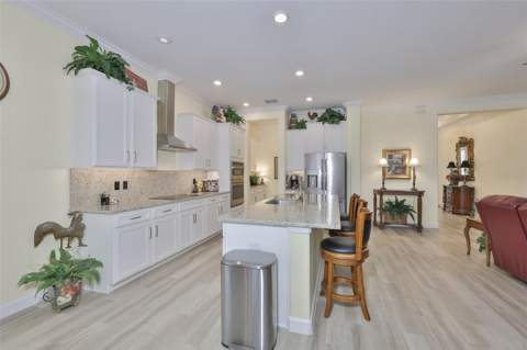 16955 Scuba Crest Street, Wimauma FL - photo 14 of 59
