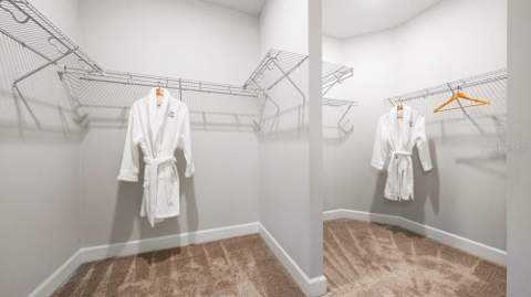 3867 Fraccareta Way, Wesley Chapel FL - photo 11 of 32