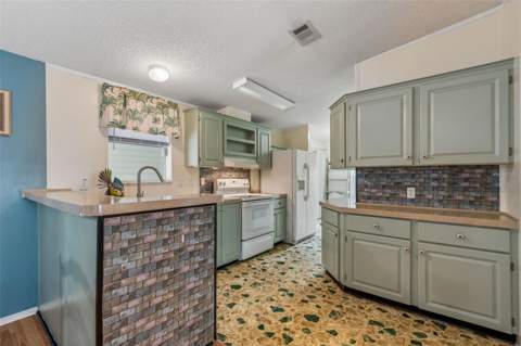 37644 Pinata Avenue, Zephyrhills FL - photo 24 of 79