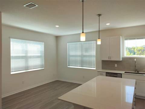 1358 Kings Crown Street, Mount Dora FL - photo 7 of 15